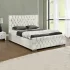 Plush Velvet Upholstered Bed