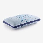 Sleepwell Latex Plus Regular Pillow