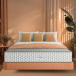 Sleepwell Dual Pro Profiled Foam(25cm Height)