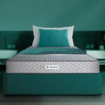 Sleepwell Ortho Pro Profiled Foam(20cm Height)