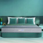 Sleepwell Ortho Pro Spring(25cm Height)