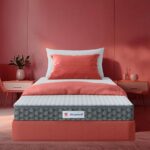 Sleepwell StarGold (20cm Height)